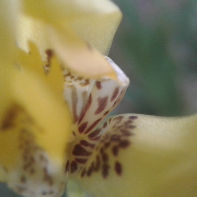 20240528_082522.jpg