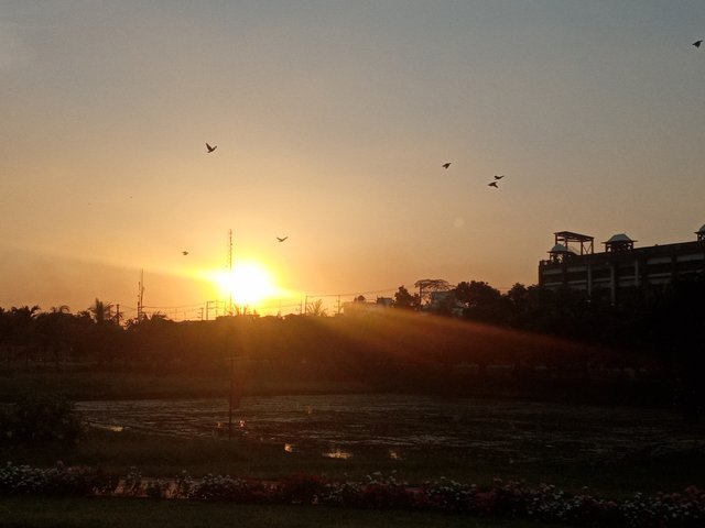 20220713_182923.jpg