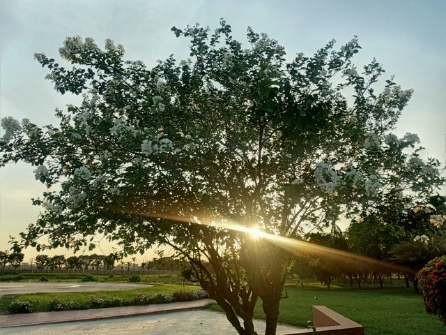 20220730_234354.jpg