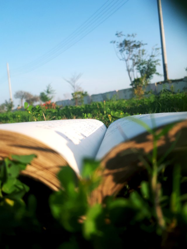 20250302_105821.jpg
