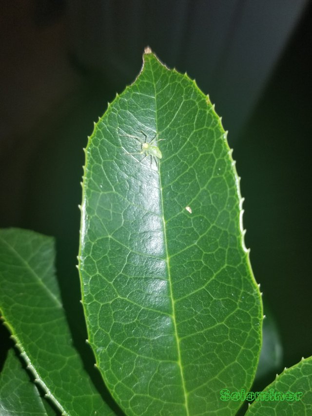20181029_104816.jpg