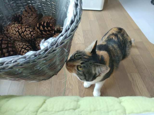 20180109_124901.jpg