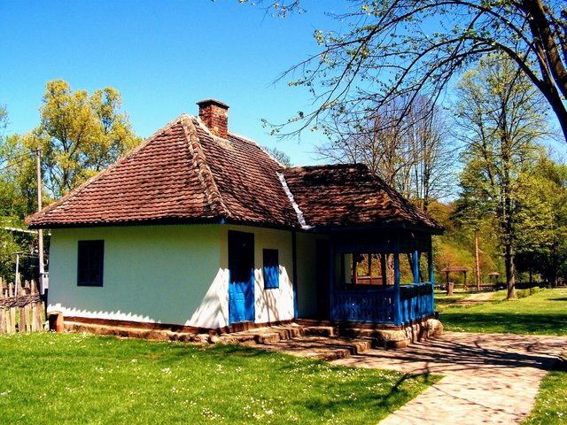 20190304_005852.jpg