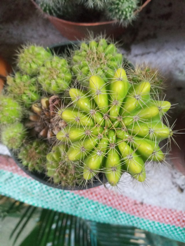 20220801_181526.jpg