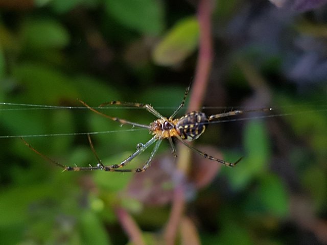 20180706_094210.jpg