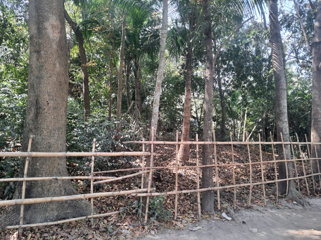 20250307_135559.jpg