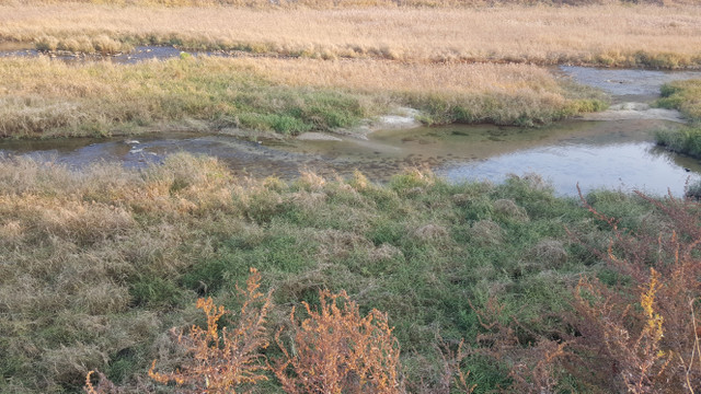 20171104_161915.jpg