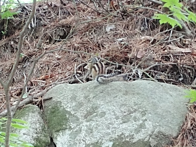 20180520_122341.jpg