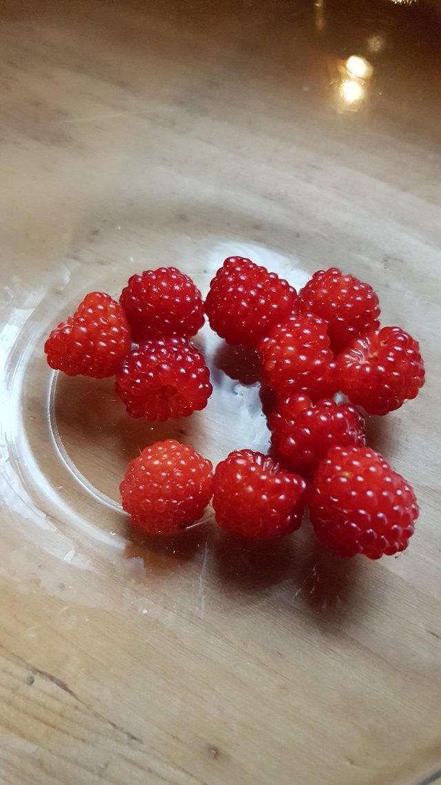20180710_192248.jpg