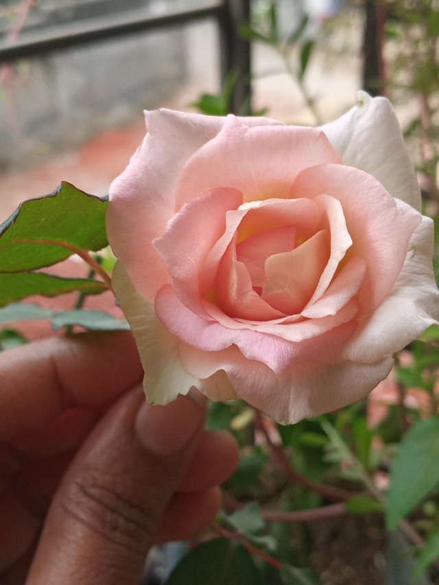 20230223_080536.jpg
