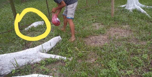 20190726_003055.jpg