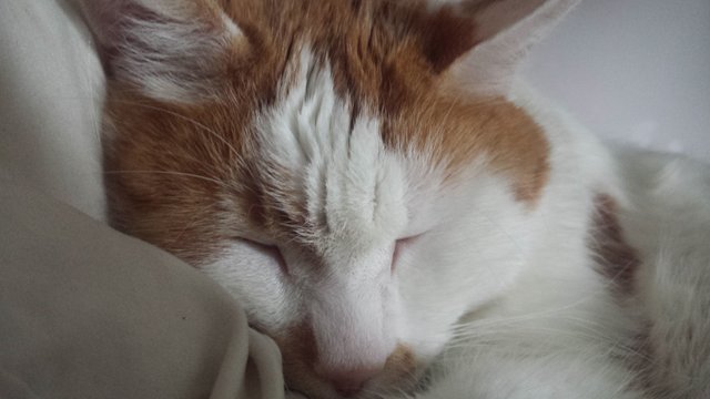 20180606_113315.jpg
