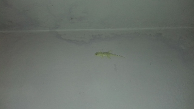 20170808_205644.jpg