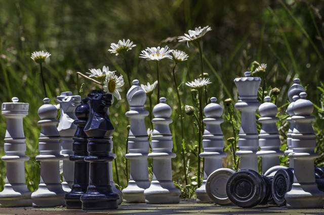 chess flowers.JPG