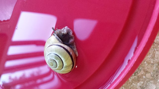 20180729_201852.jpg