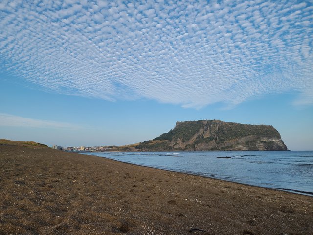 20221103_163000.jpg