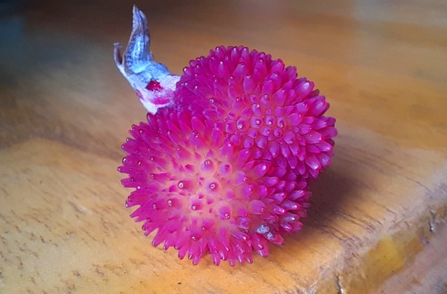 20211204_203308.jpg