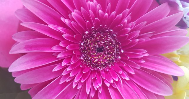 20180815_150835.jpg