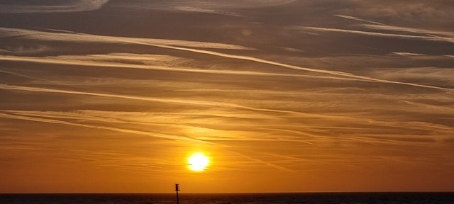 20221026_075455.jpg