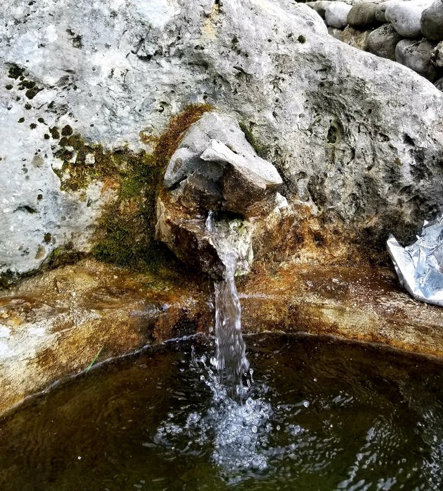 20180721_085339.jpg