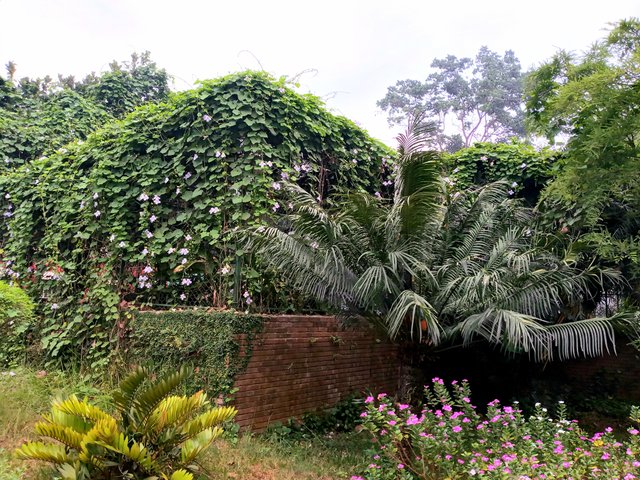 20230503_062458.jpg