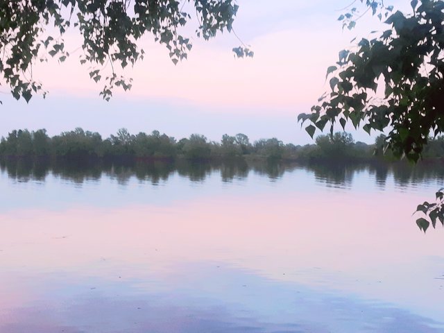 20210519_000340.jpg