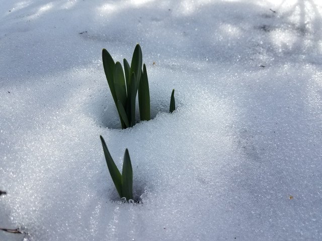 20180322_155708.jpg