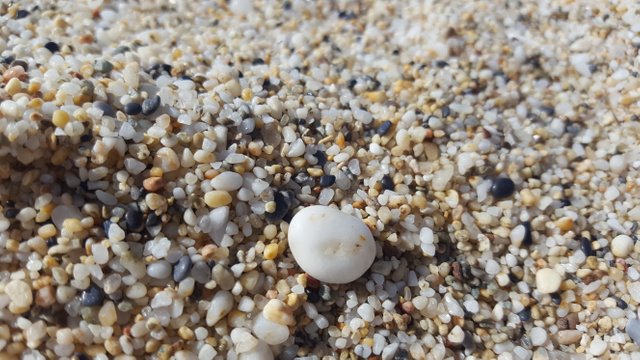 20170307_103358.jpg