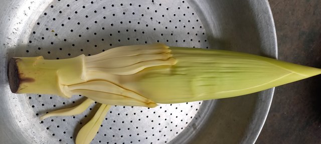 20230809_090801.jpg