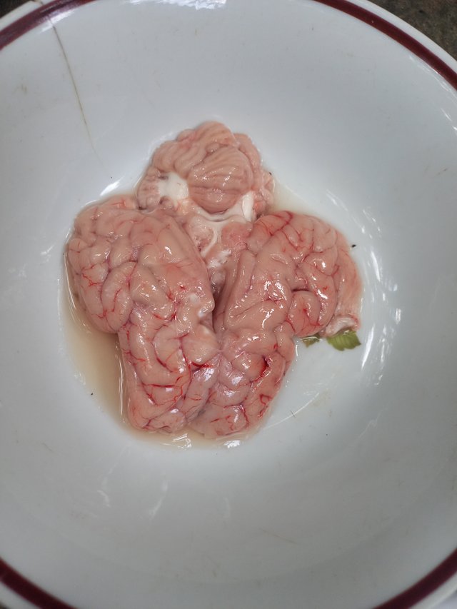 20220711_122350.jpg