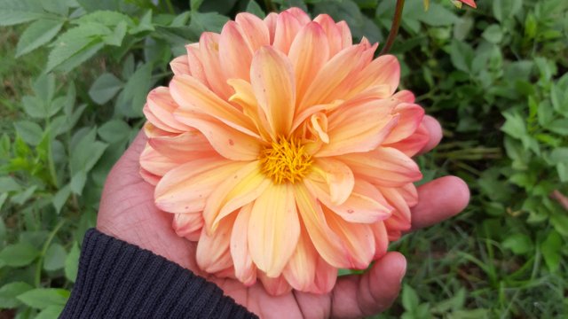 20191021_084807.jpg