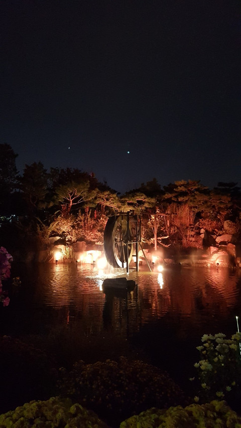 20171101_220557.jpg