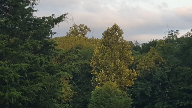 20180721_061628.jpg