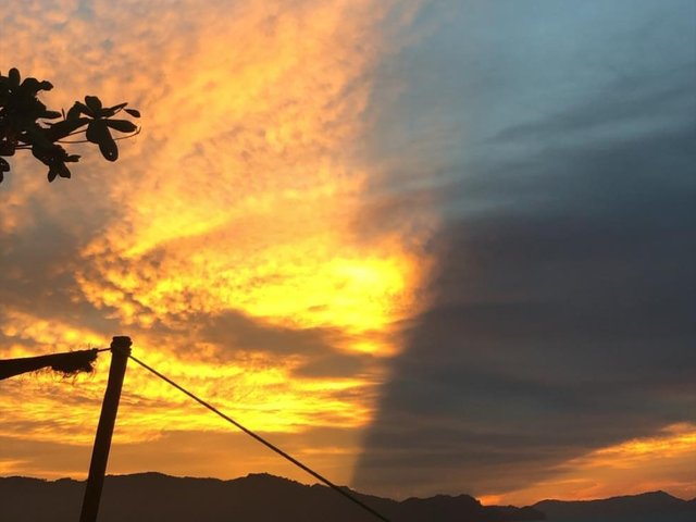 20190405_160453.jpg