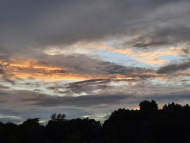 20220509_183306.jpg