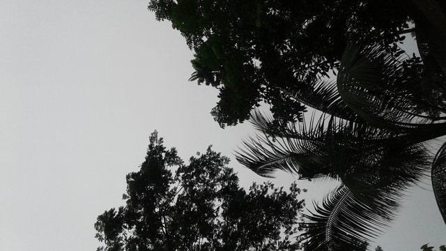 20180619_160958.jpg
