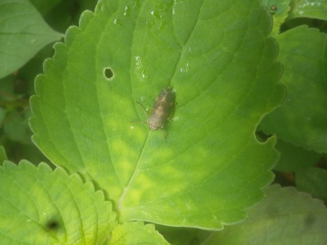 20180822_142653.jpg