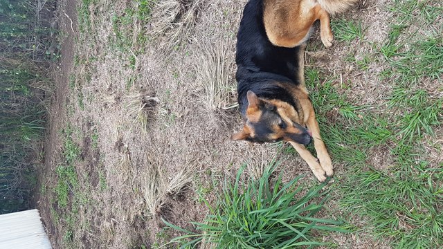 20181101_064113.jpg