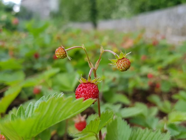 20180512_140807.jpg