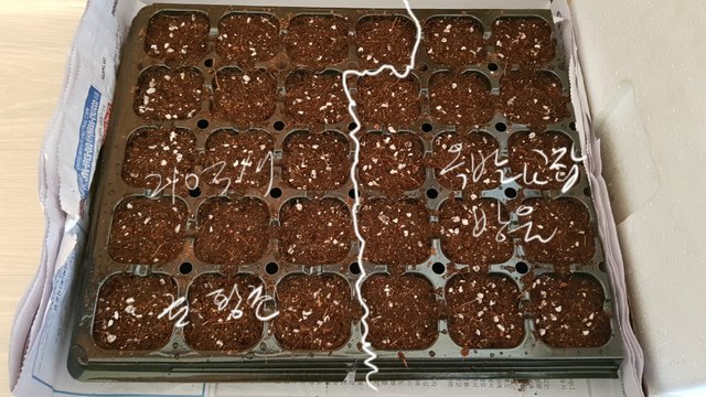 20210317_123646.jpg