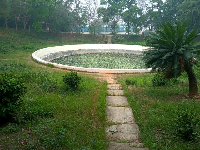 20230503_065155.jpg