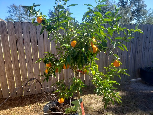 20201225_111727.jpg