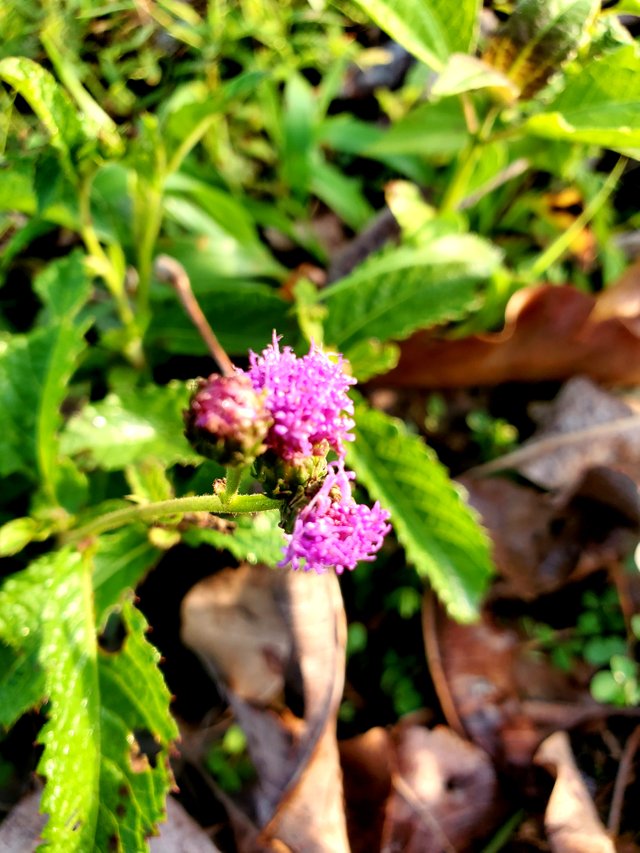20220624_175023.jpg