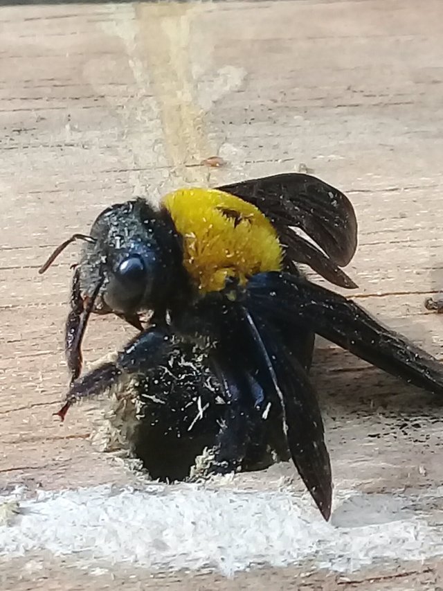 20180911_200113.jpg