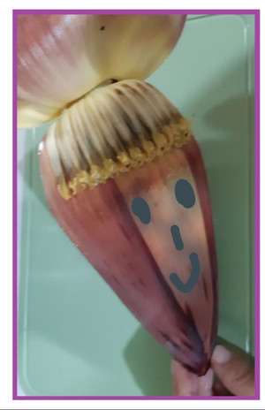20180417_223221.jpg