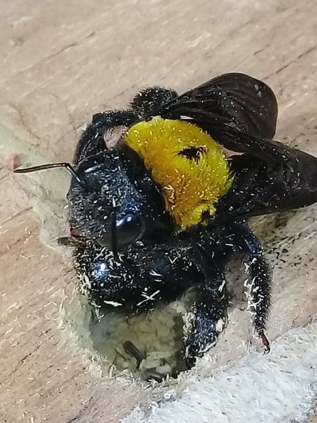 20180911_195731.jpg