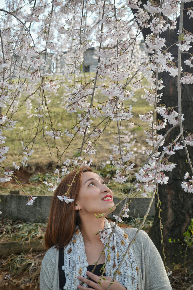 DSC_0334-02-01.jpeg