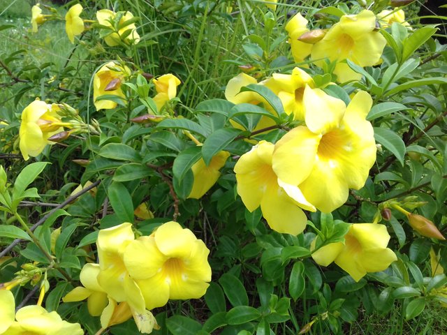 20180625_143429.jpg