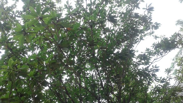 20180619_161034.jpg