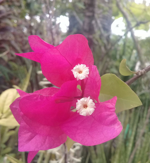 20180202_155639.jpg